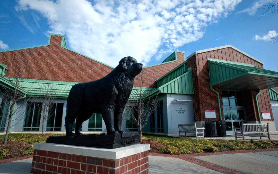 NC State Veterinary Hospital