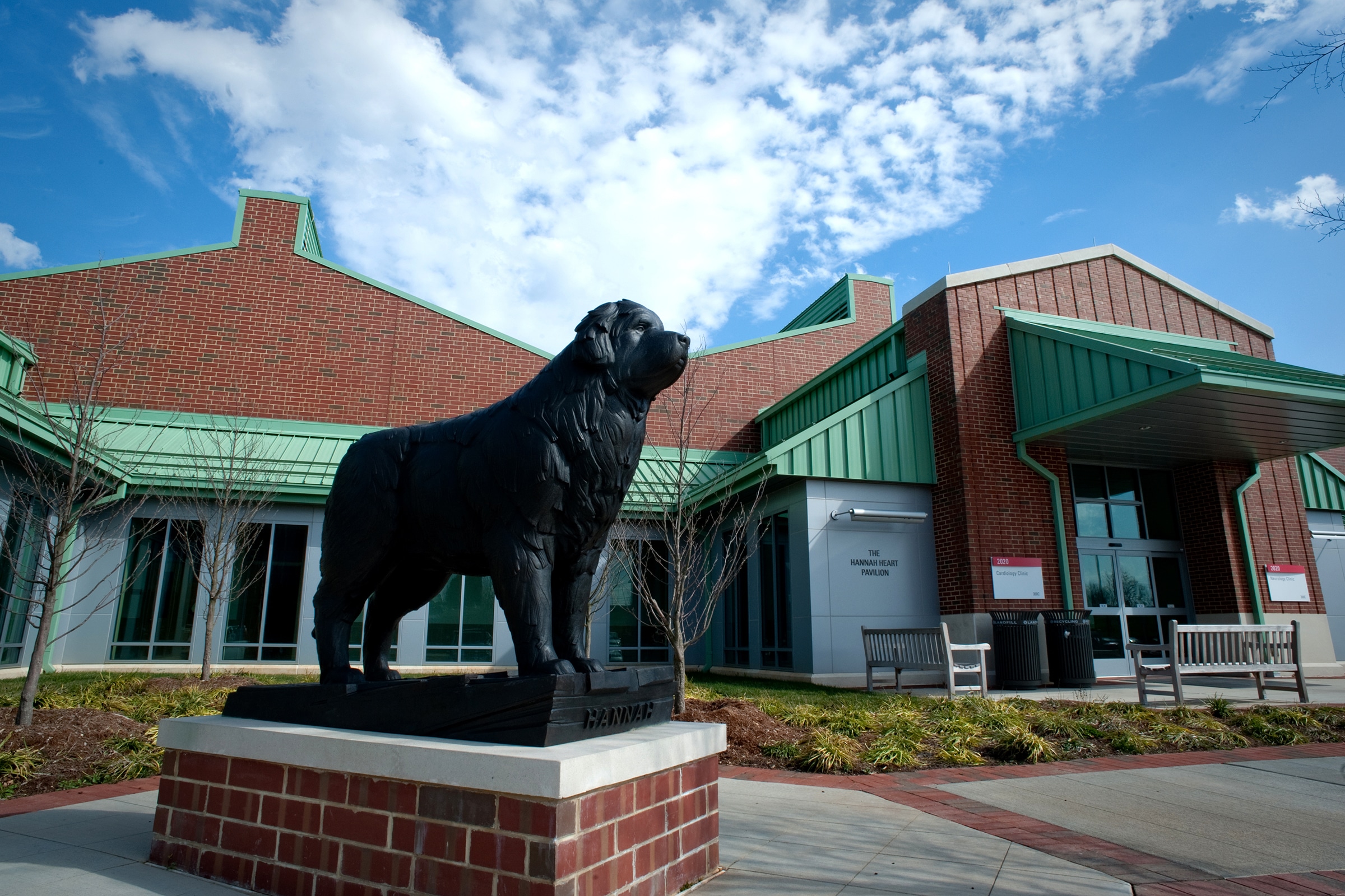 NC State Veterinary Hospital, Centennial Biomedical Campus | NC State  University