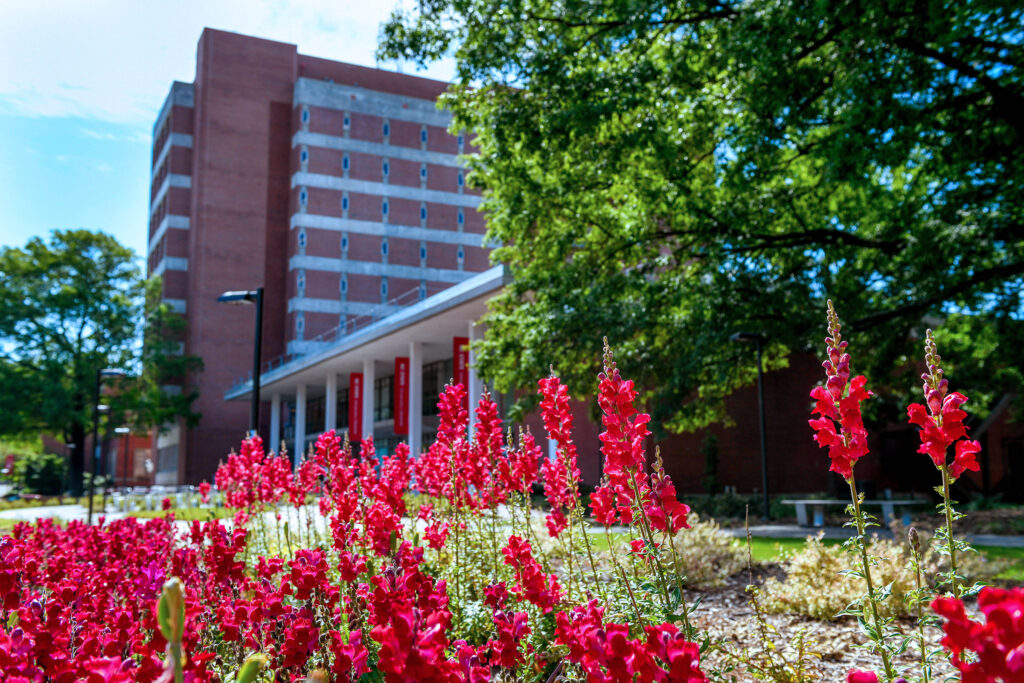 Spring flowers bloom in front of DH Hill off Hillsborough Street. Photo by Becky Kirkland.
